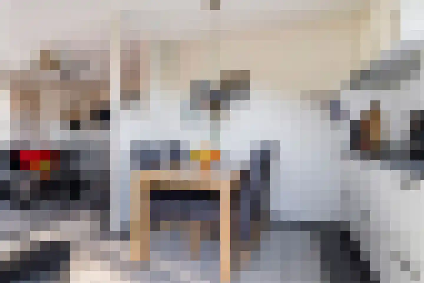 Koaidyk 6 663 Earnewâld thumbnail 26