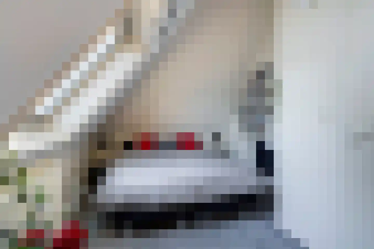 Koaidyk 6 663 Earnewâld thumbnail 30