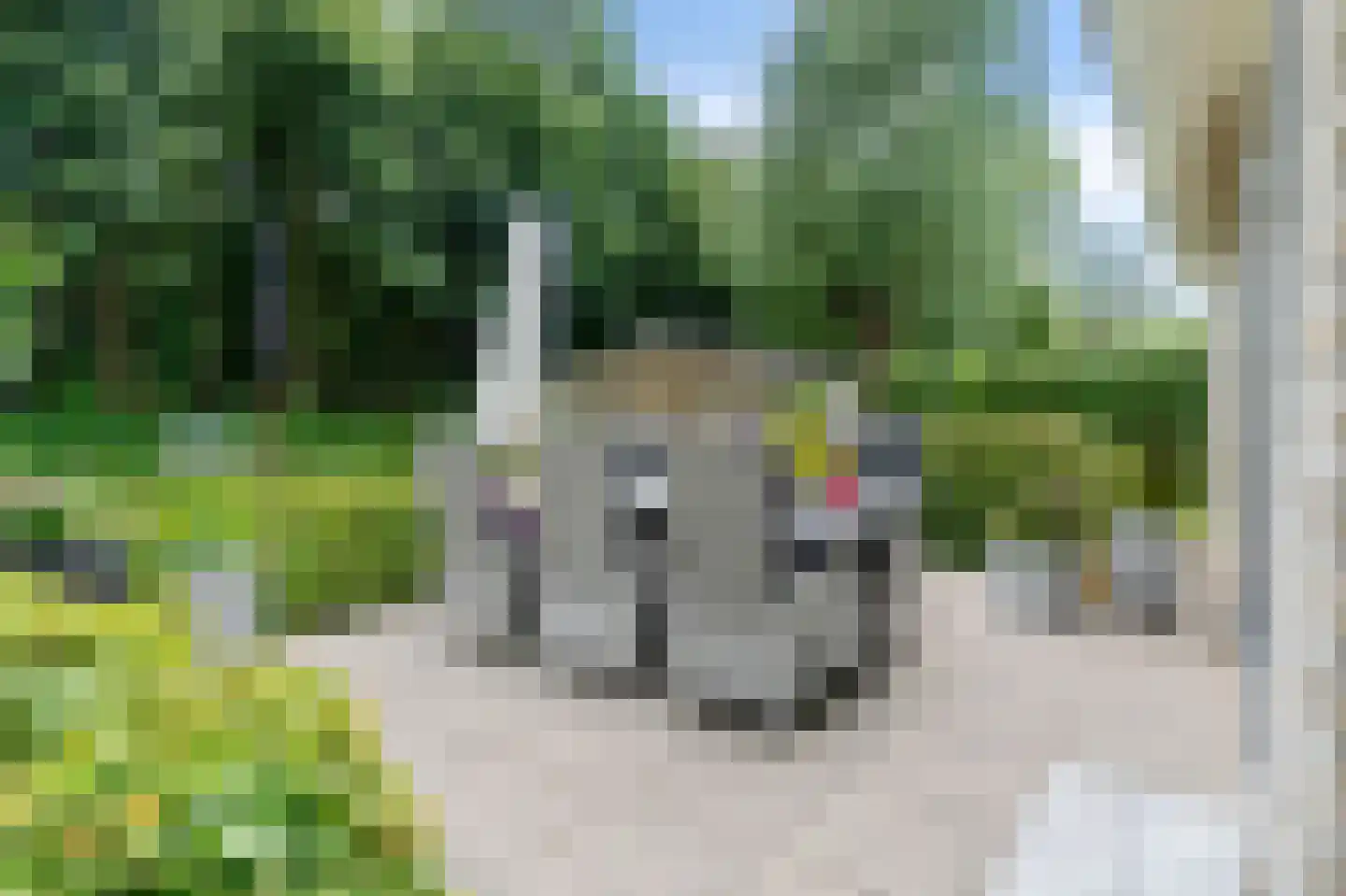 Koaidyk 6 663 Earnewâld thumbnail 36