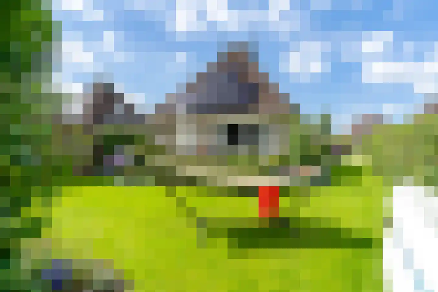 Koaidyk 6 663 Earnewâld thumbnail 38