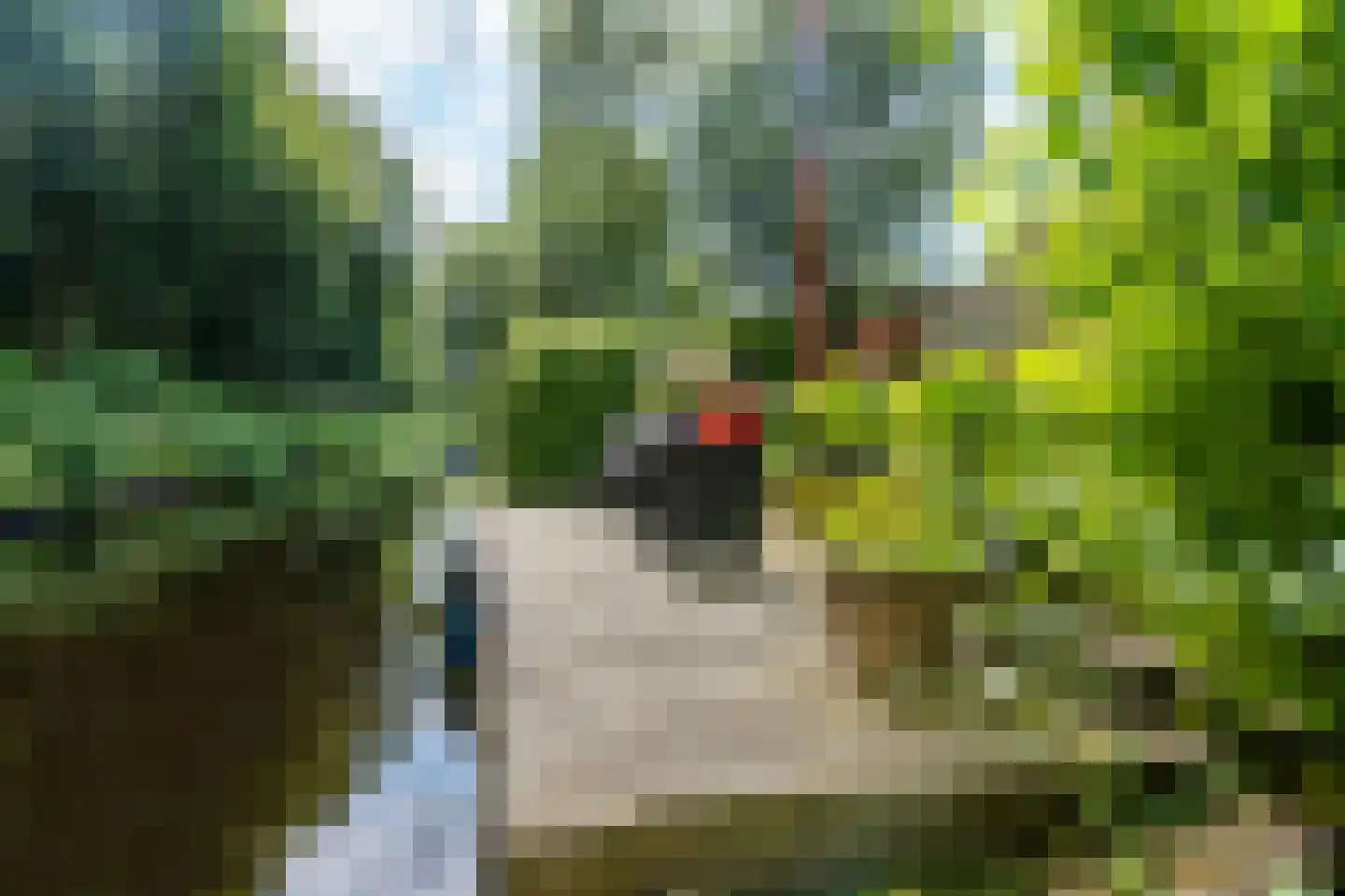 Koaidyk 6 663 Earnewâld thumbnail 39