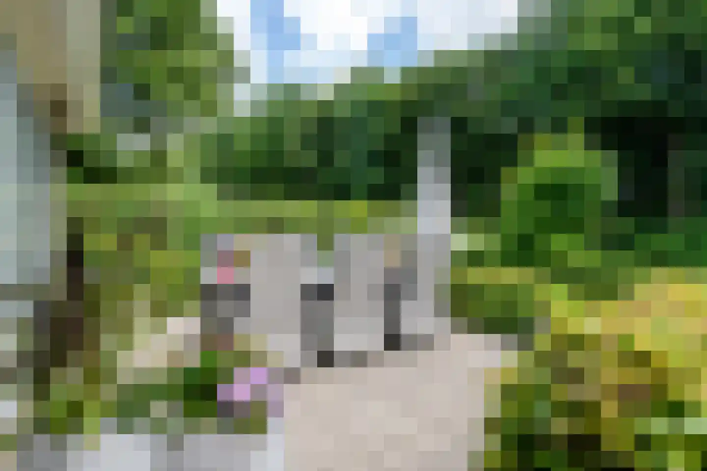 Koaidyk 6 663 Earnewâld thumbnail 44