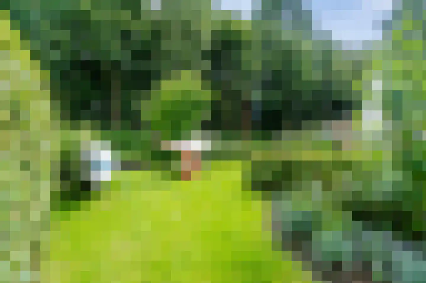 Koaidyk 6 663 Earnewâld thumbnail 45
