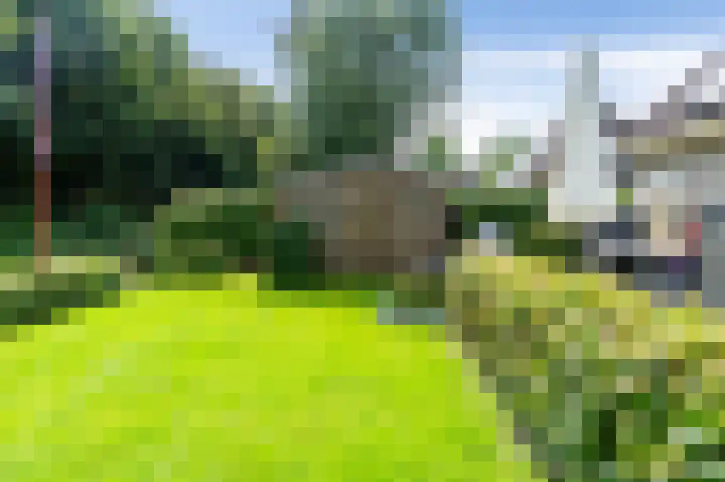 Koaidyk 6 663 Earnewâld thumbnail 46
