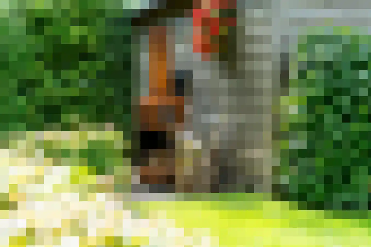 Koaidyk 6 663 Earnewâld thumbnail 47