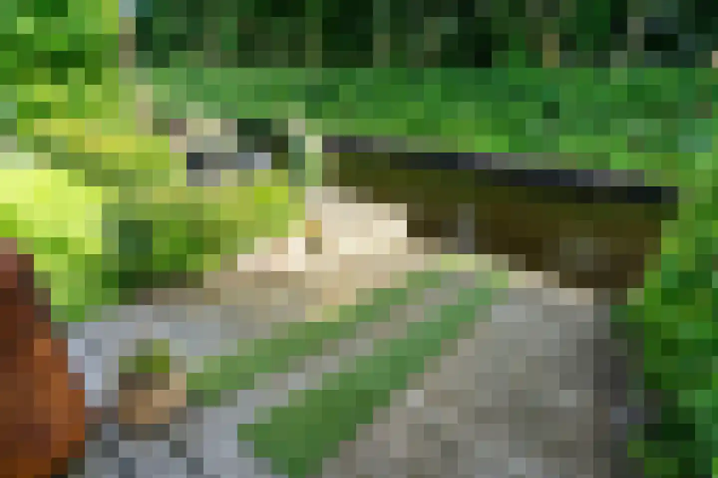 Koaidyk 6 663 Earnewâld thumbnail 50