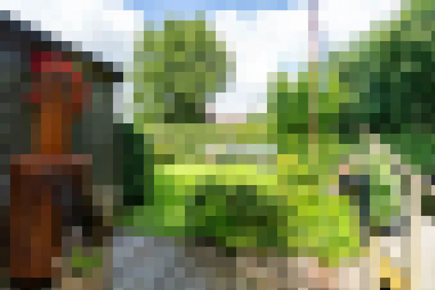 Koaidyk 6 663 Earnewâld thumbnail 51