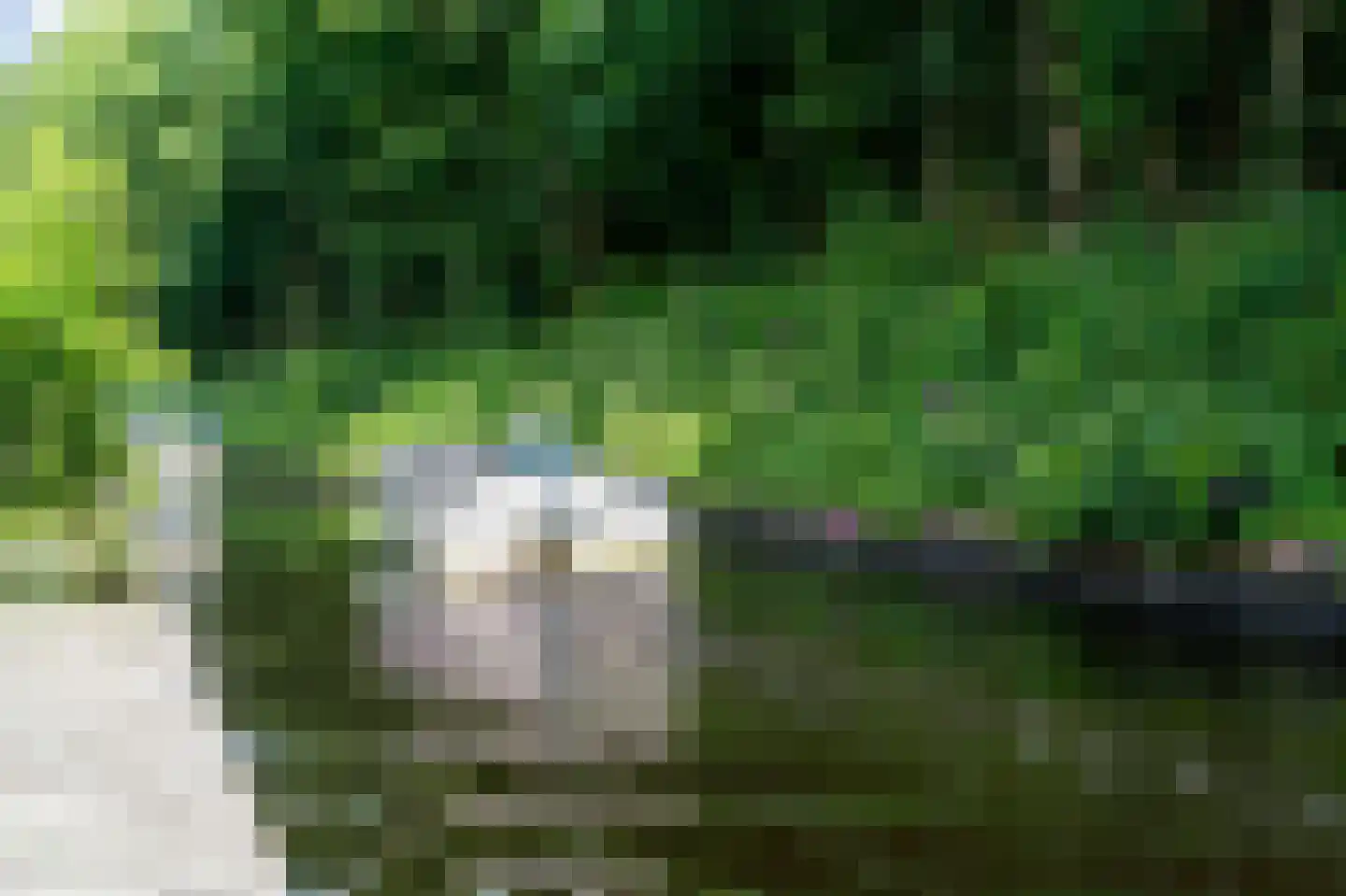 Koaidyk 6 663 Earnewâld thumbnail 58
