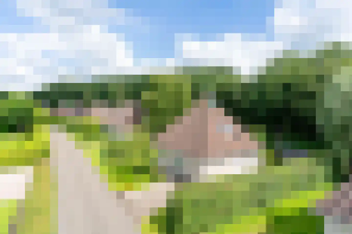 Koaidyk 6 663 Earnewâld thumbnail 6