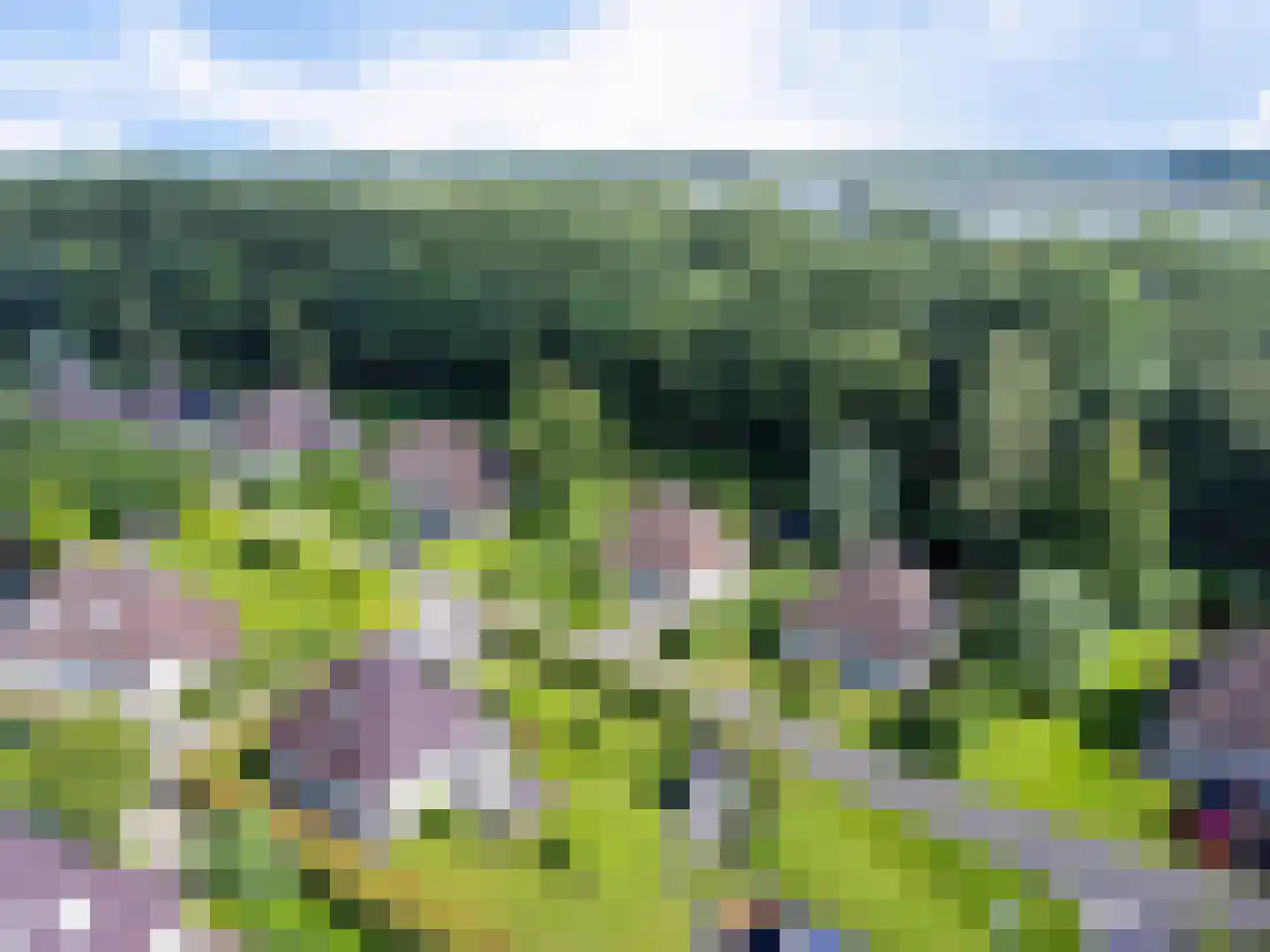 Koaidyk 6 663 Earnewâld thumbnail 61