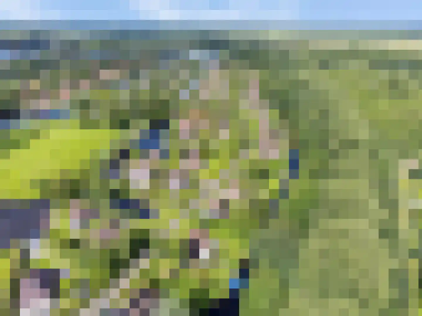 Koaidyk 6 663 Earnewâld thumbnail 63