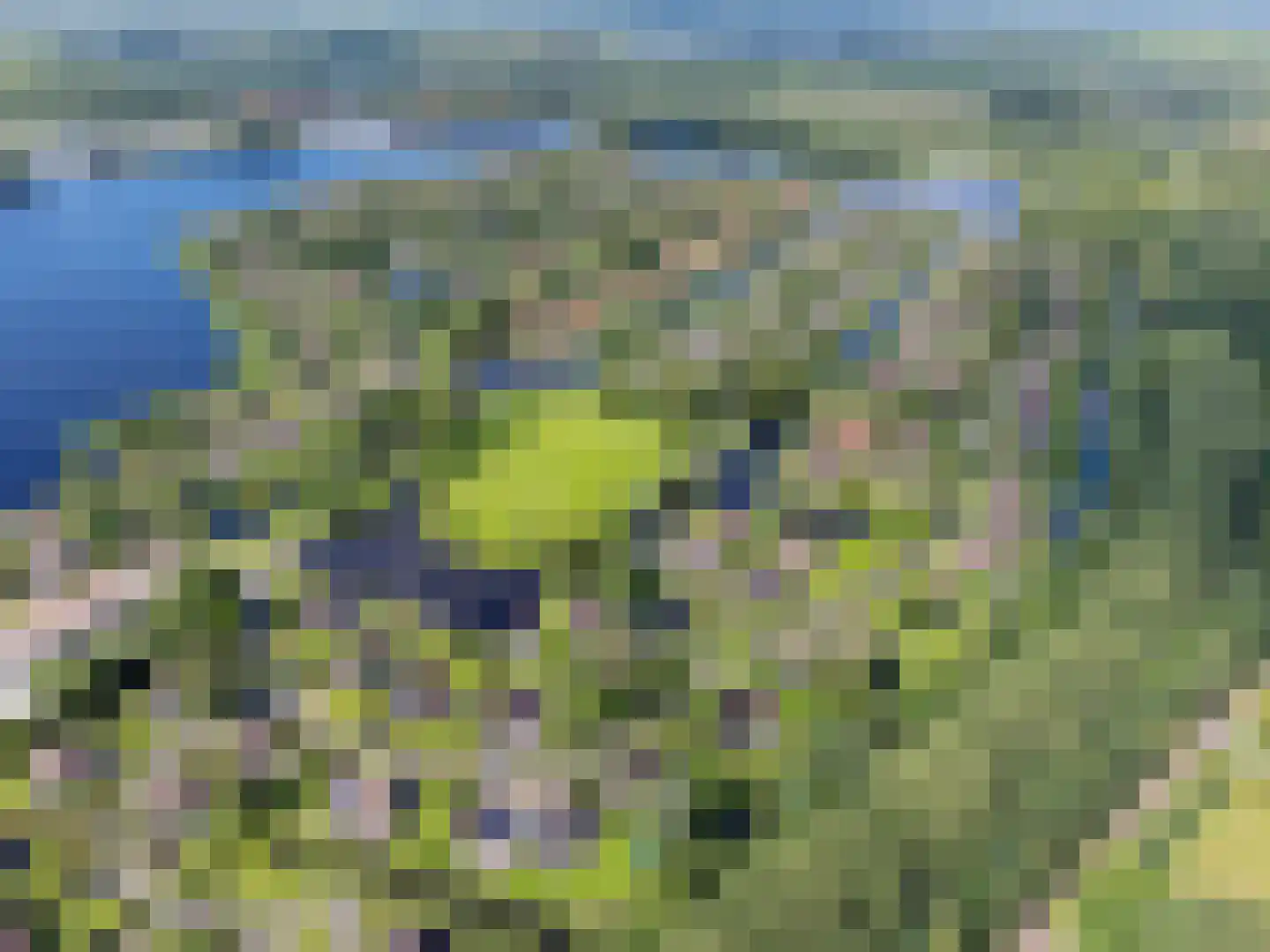 Koaidyk 6 663 Earnewâld thumbnail 64