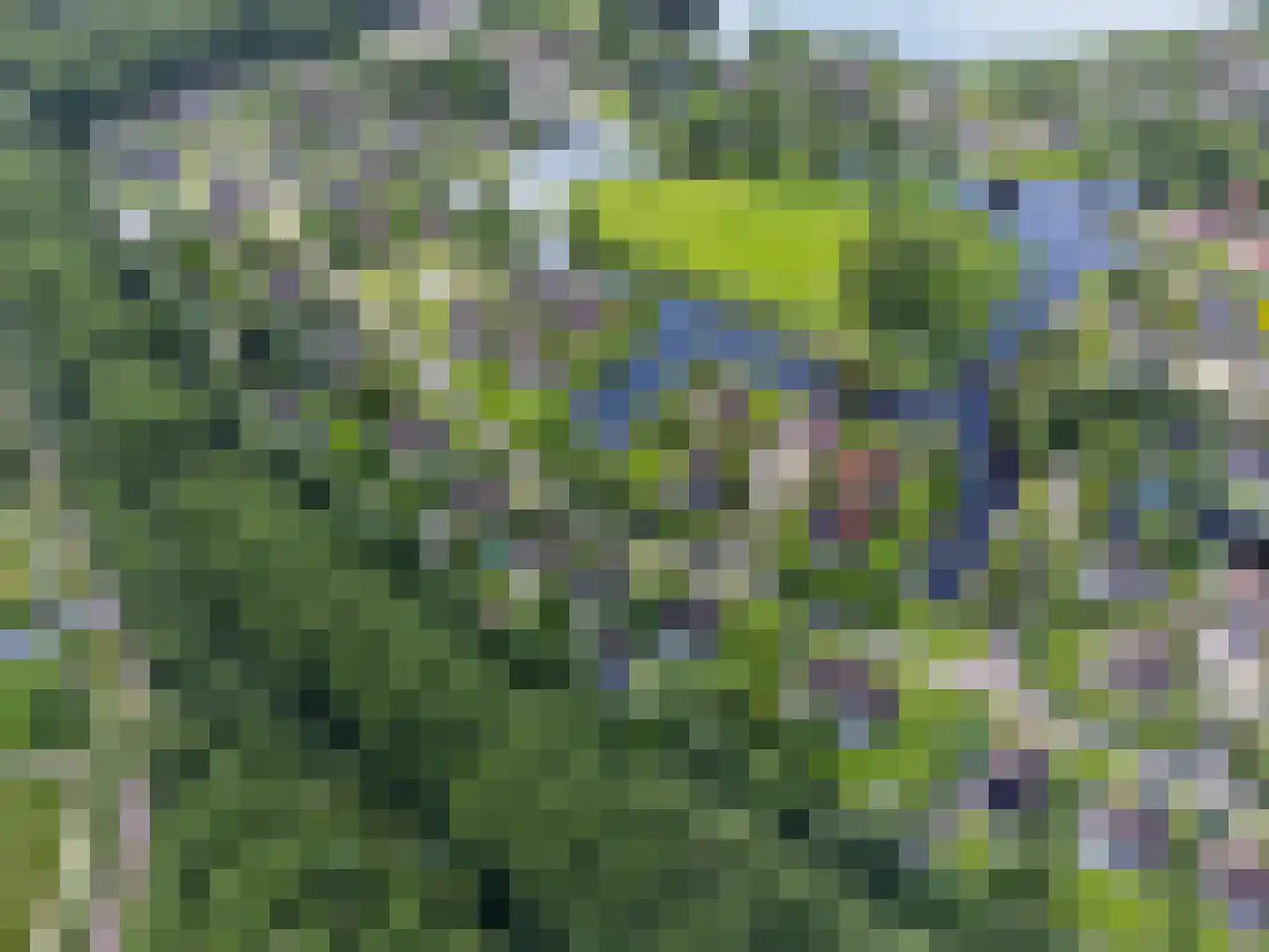 Koaidyk 6 663 Earnewâld thumbnail 66