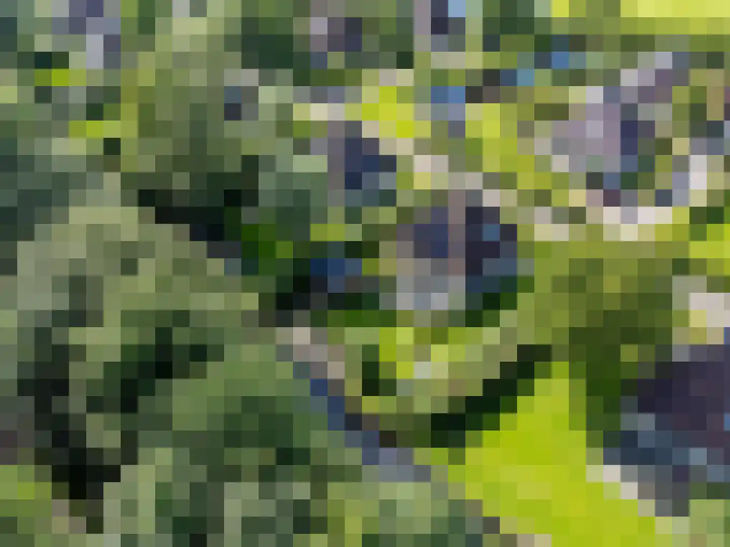 Koaidyk 6 663 Earnewâld thumbnail 67