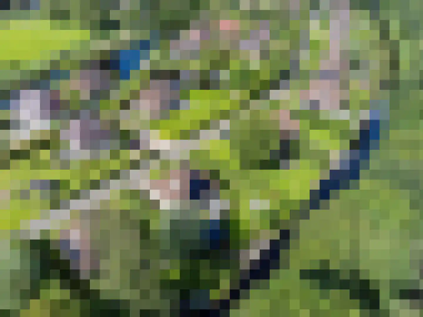 Koaidyk 6 663 Earnewâld thumbnail 68