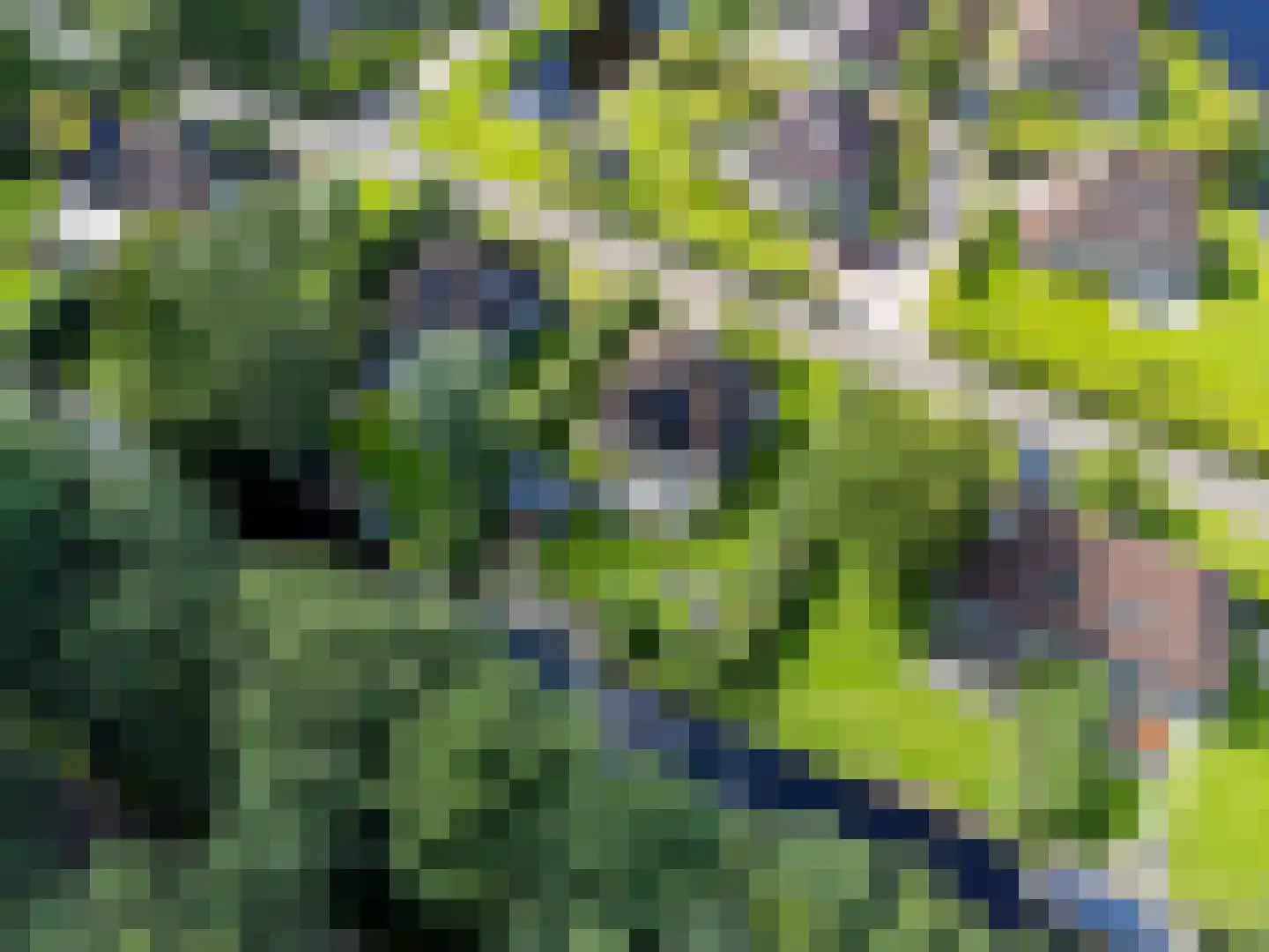 Koaidyk 6 663 Earnewâld thumbnail 69