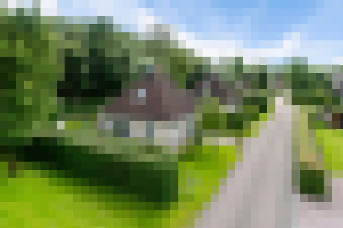 Koaidyk 6 663 Earnewâld thumbnail 8