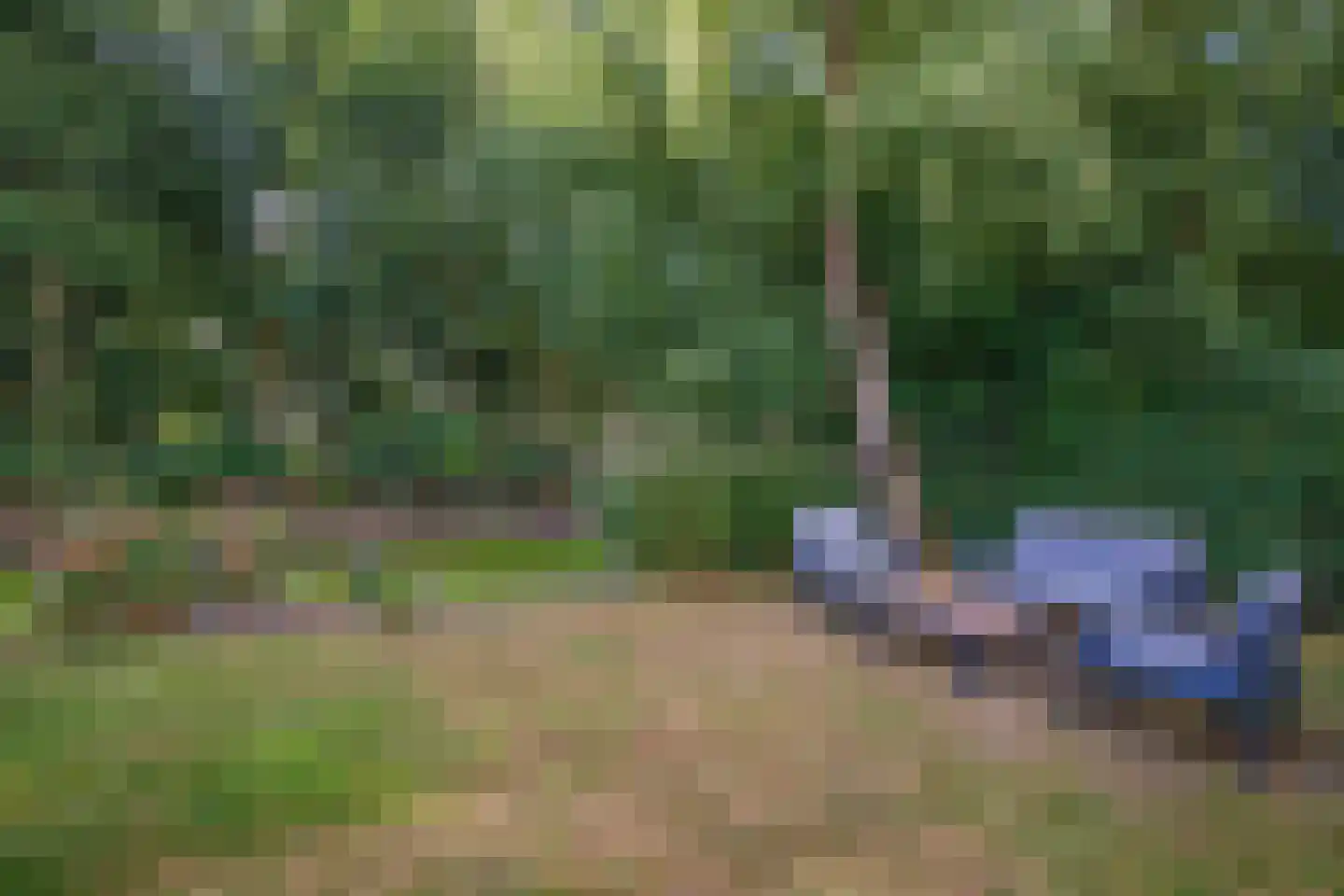 Koaidyk 6 664 Earnewâld thumbnail 10