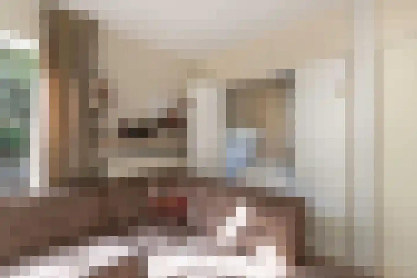 Koaidyk 6 664 Earnewâld thumbnail 15