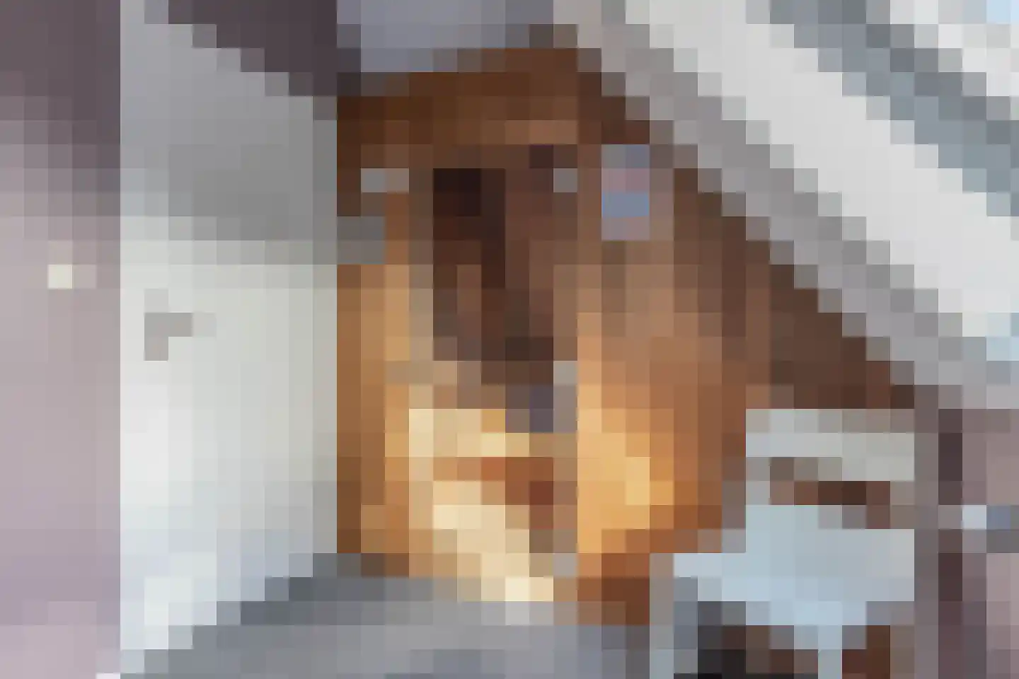 Koaidyk 6 664 Earnewâld thumbnail 27