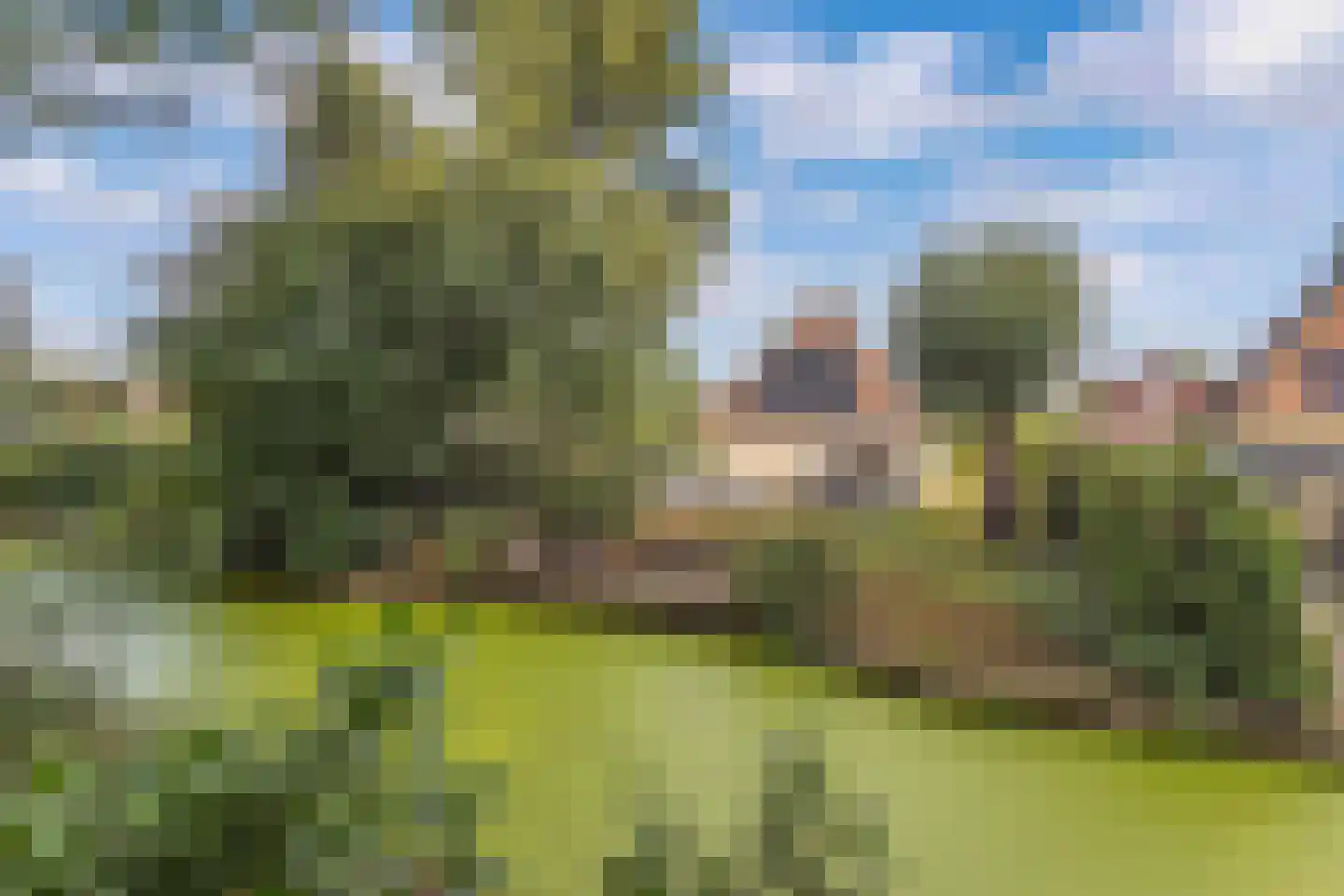 Koaidyk 6 664 Earnewâld foto 3