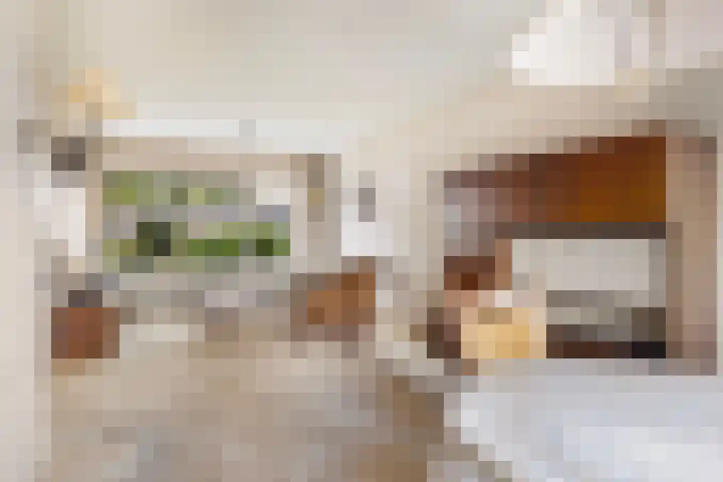 Koaikamp 12 Hurdegaryp thumbnail 10