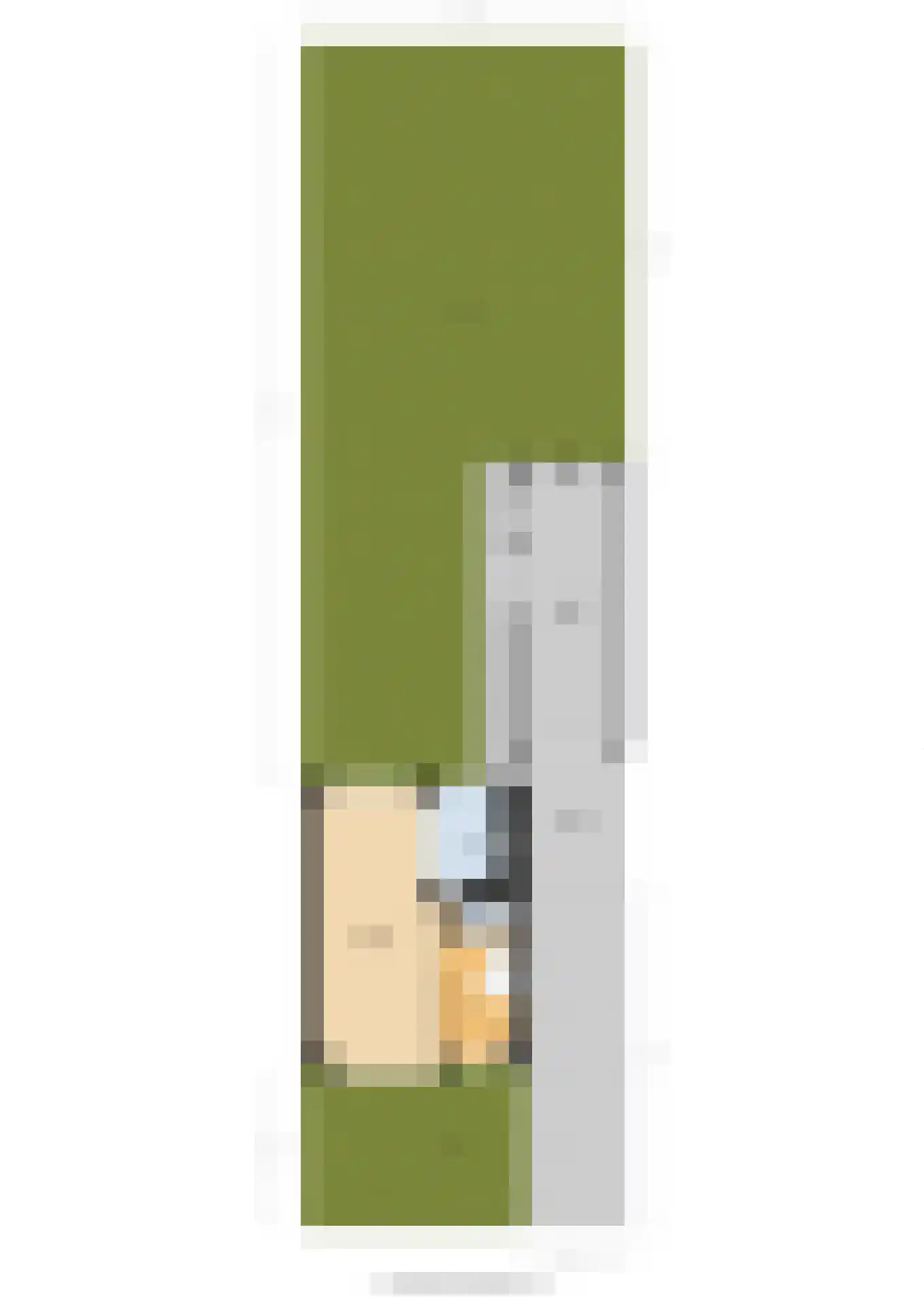 Koaikamp 12 Hurdegaryp thumbnail 36