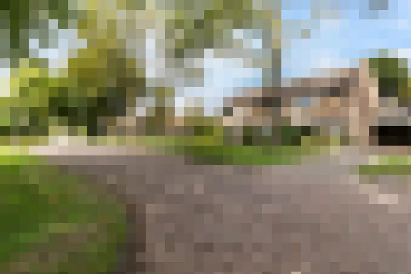 Koaikamp 12 Hurdegaryp thumbnail 4