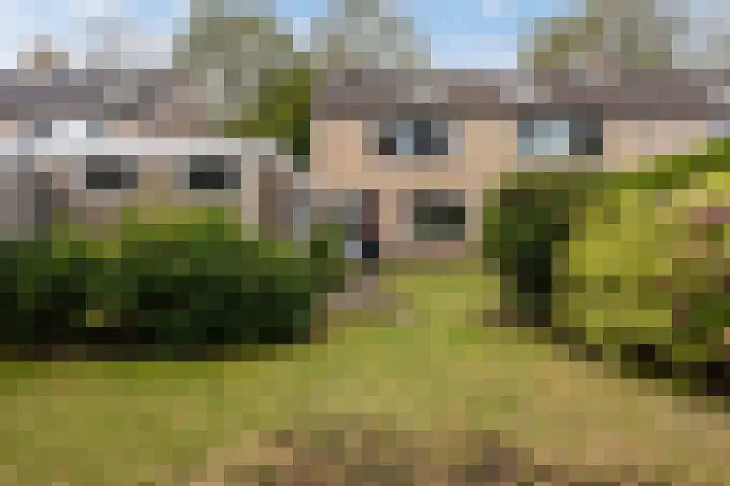 Koaikamp 12 Hurdegaryp thumbnail 5
