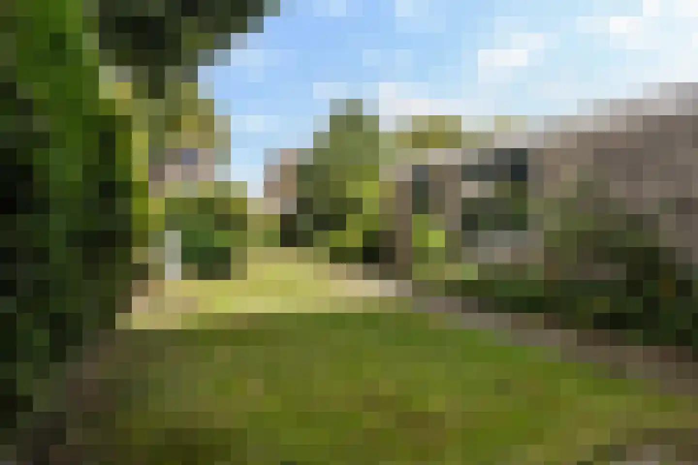 Koaikamp 12 Hurdegaryp thumbnail 6