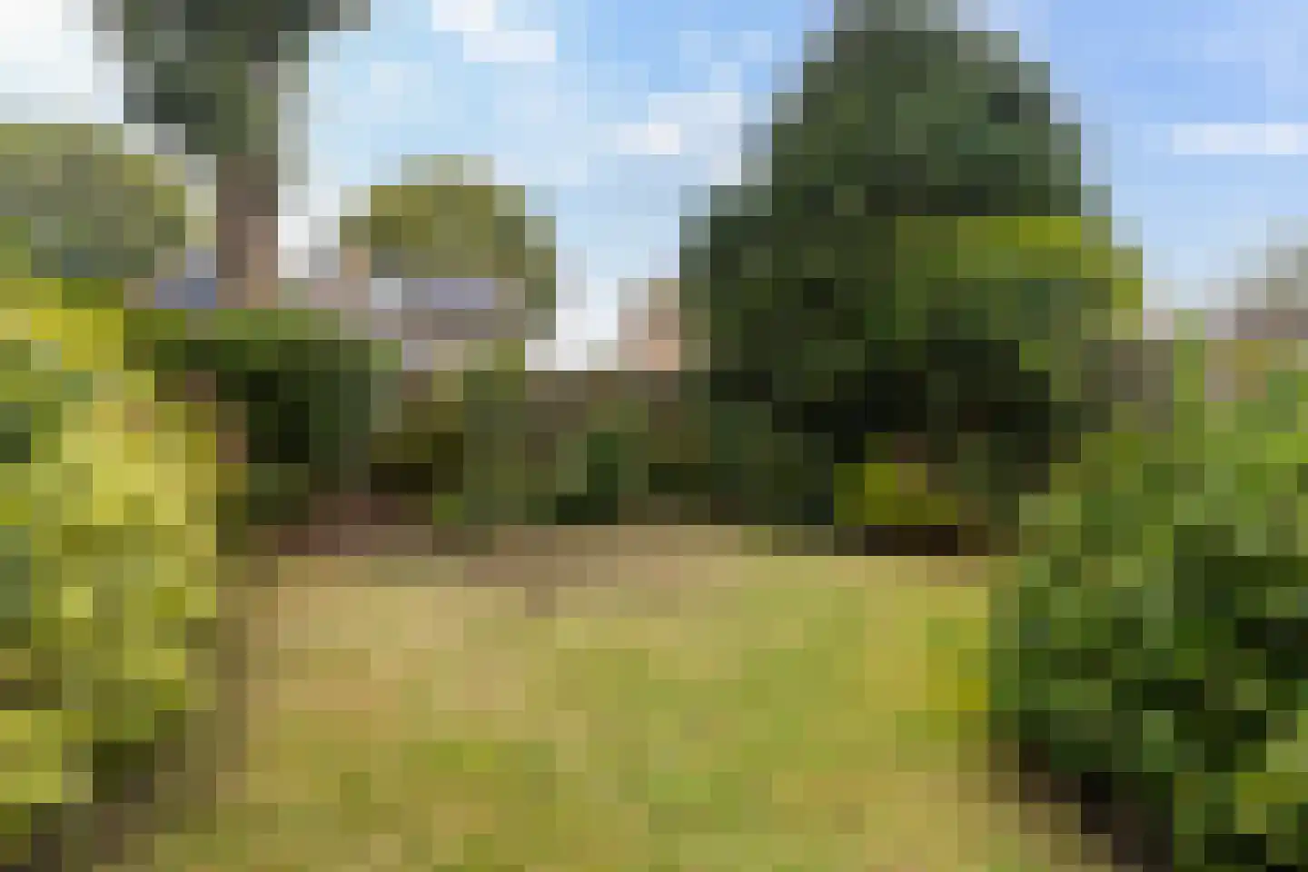 Koaikamp 12 Hurdegaryp thumbnail 7