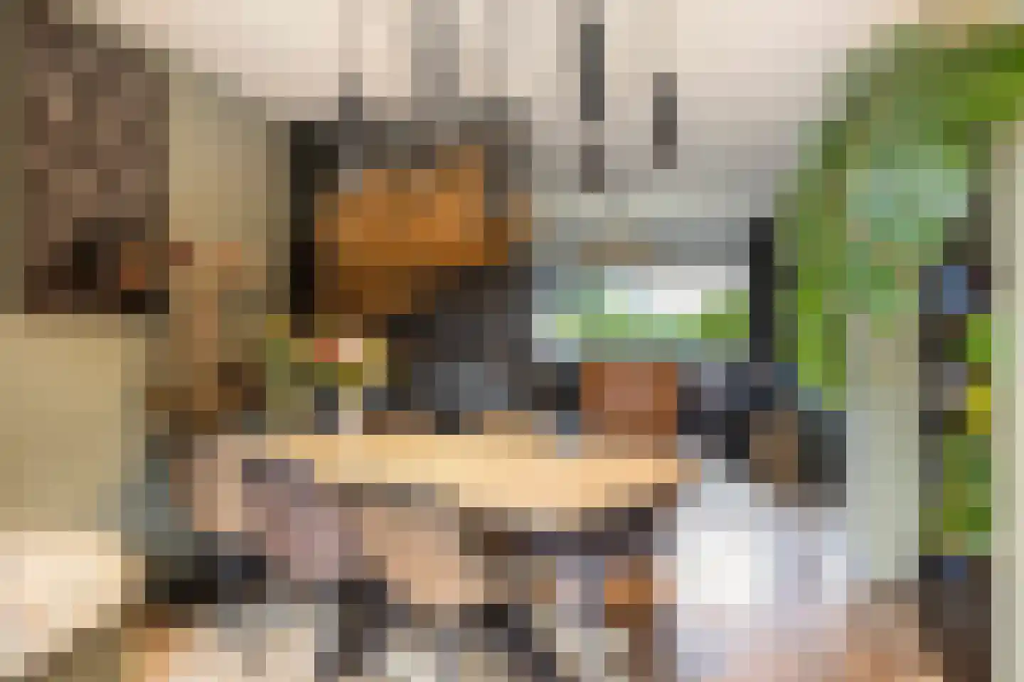Koaikamp 3 Hurdegaryp thumbnail 10