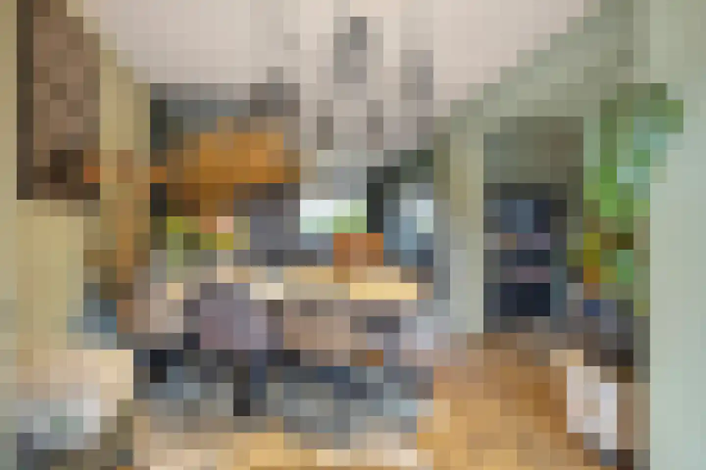 Koaikamp 3 Hurdegaryp thumbnail 13
