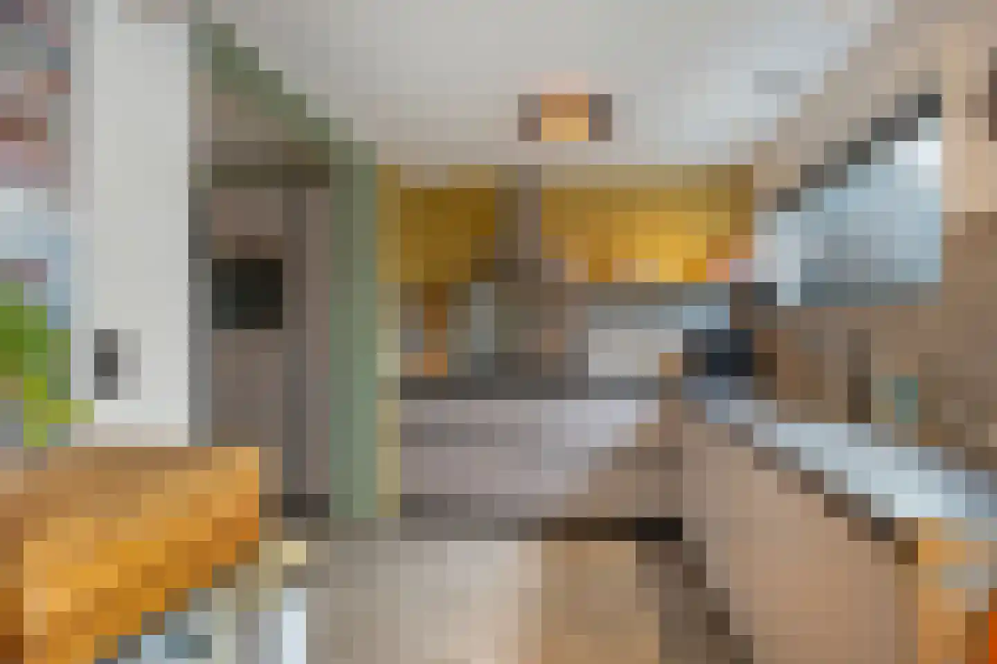 Koaikamp 3 Hurdegaryp thumbnail 14