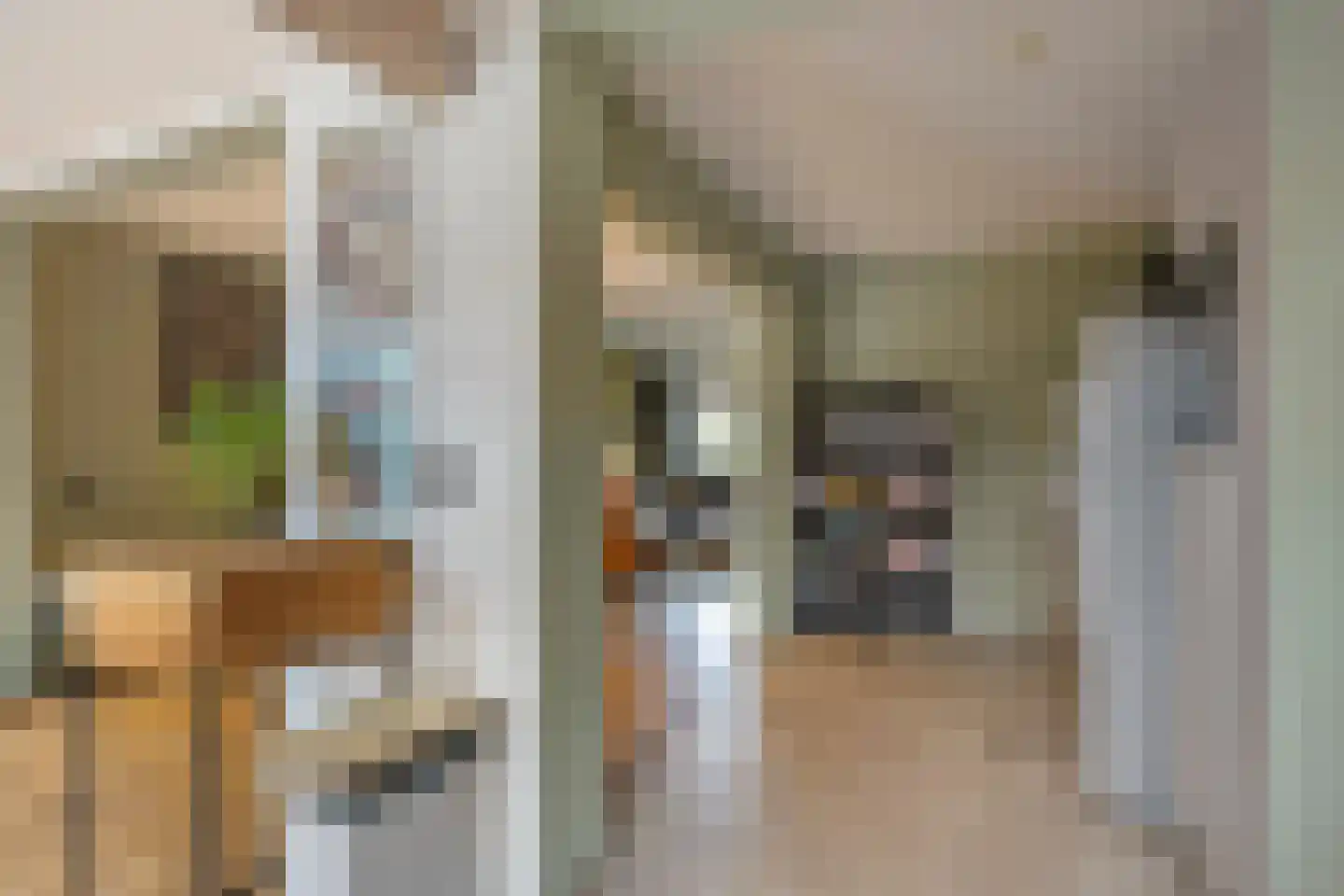 Koaikamp 3 Hurdegaryp thumbnail 16