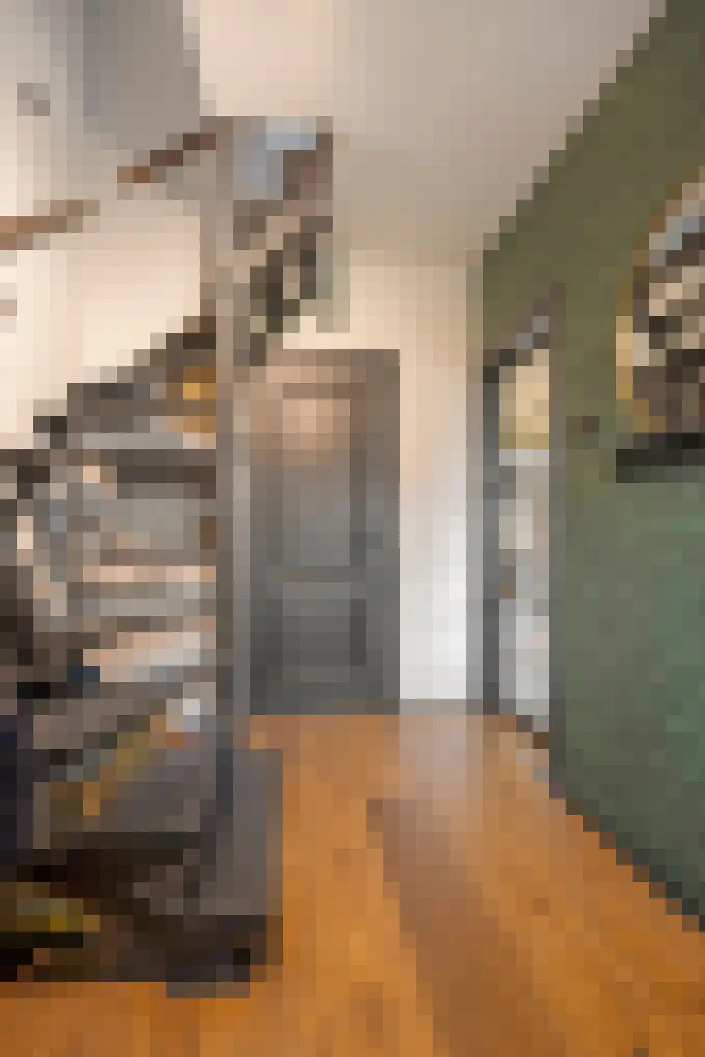 Koaikamp 3 Hurdegaryp thumbnail 20