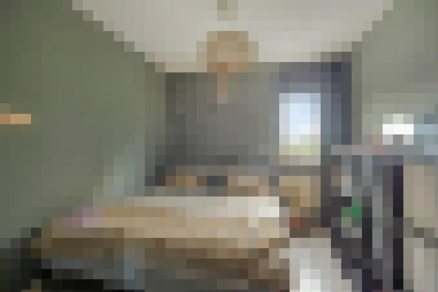 Koaikamp 3 Hurdegaryp thumbnail 26