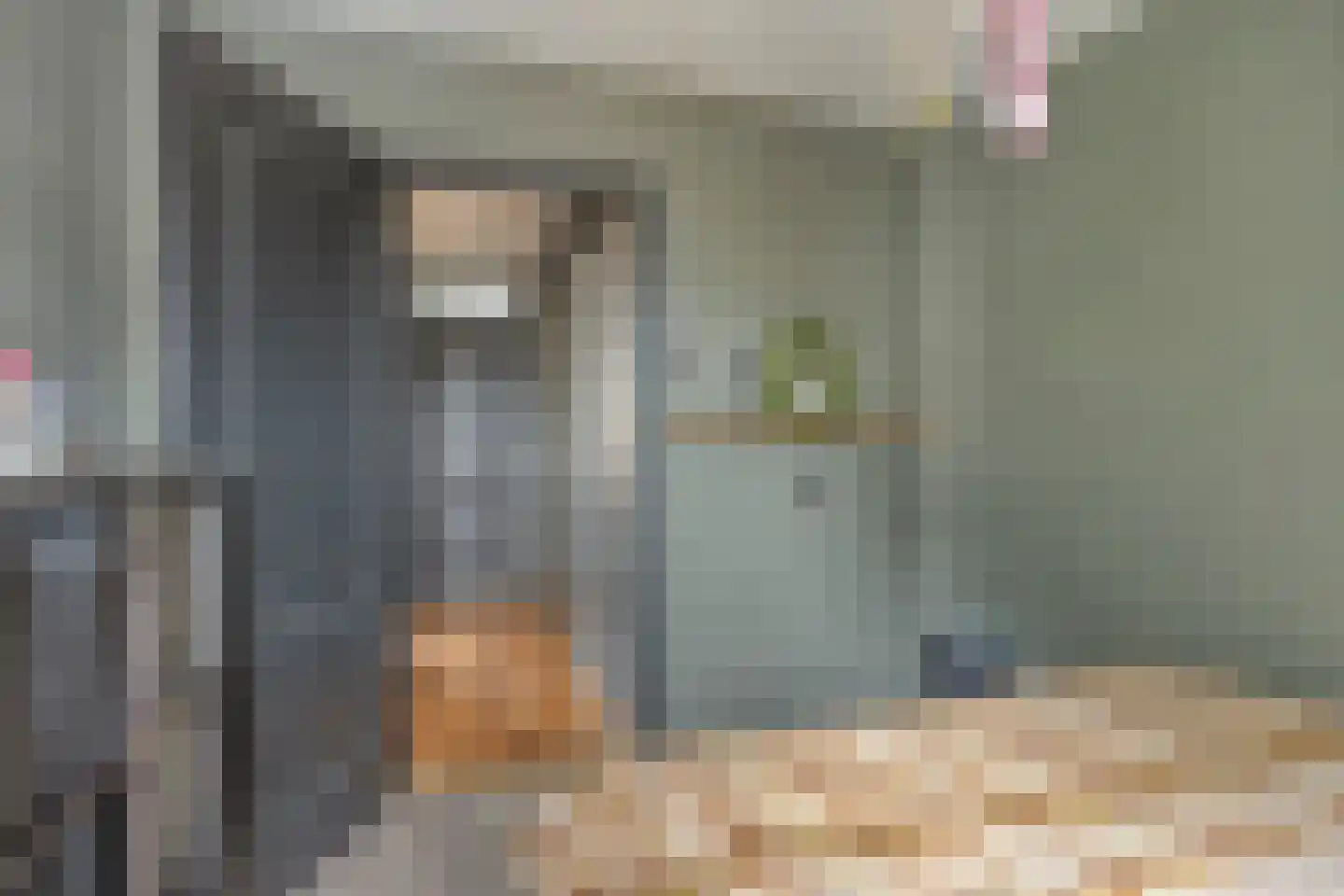 Koaikamp 3 Hurdegaryp thumbnail 27