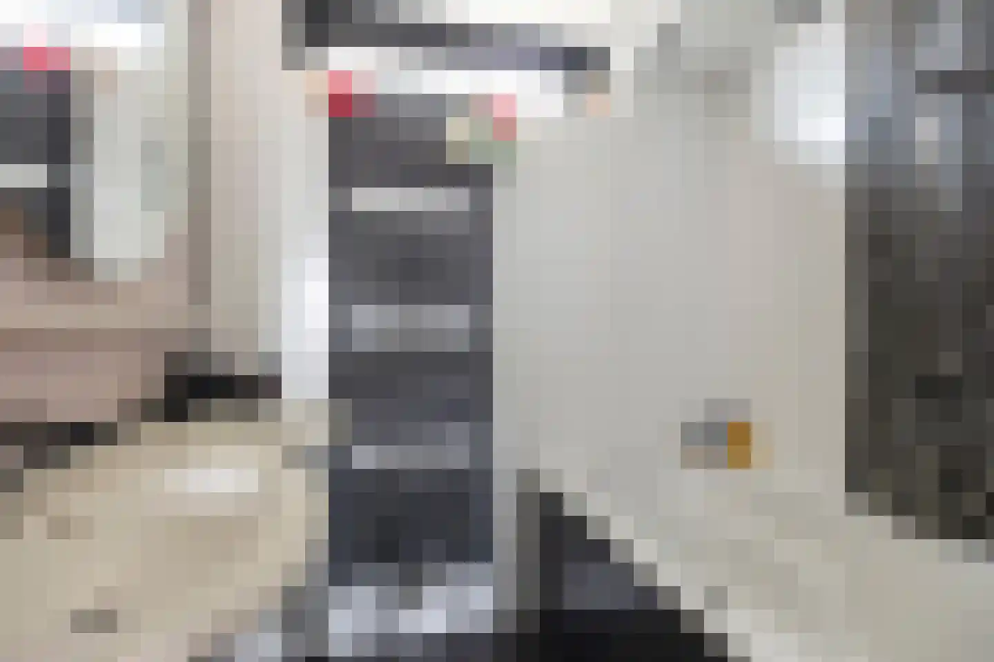 Koaikamp 3 Hurdegaryp thumbnail 31