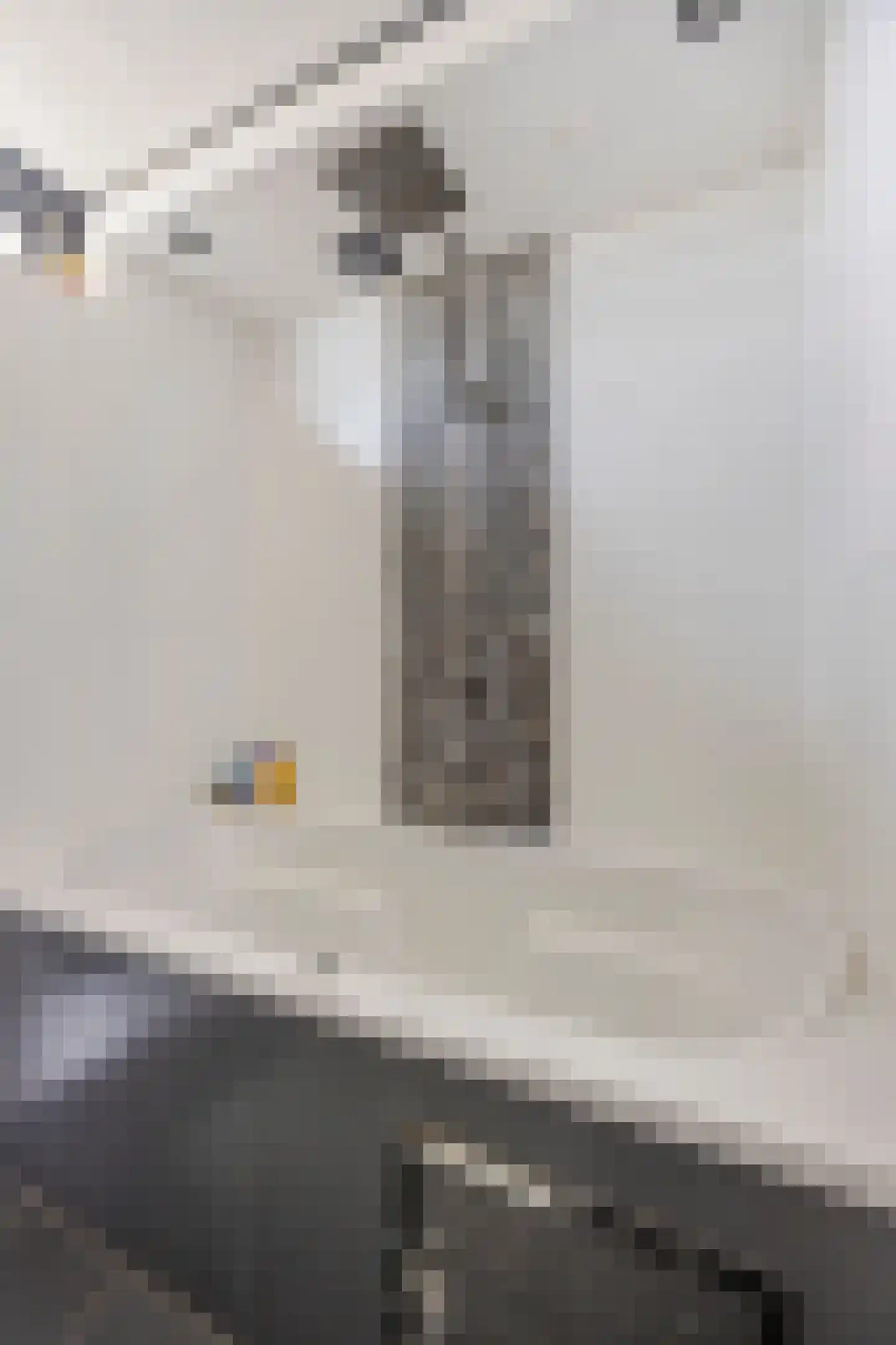 Koaikamp 3 Hurdegaryp thumbnail 32
