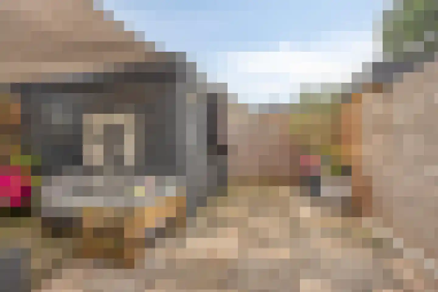 Koaikamp 3 Hurdegaryp thumbnail 37