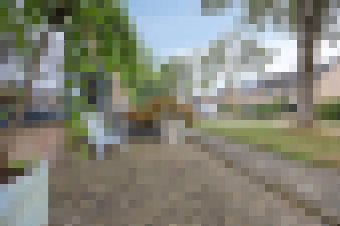 Koaikamp 3 Hurdegaryp thumbnail 42