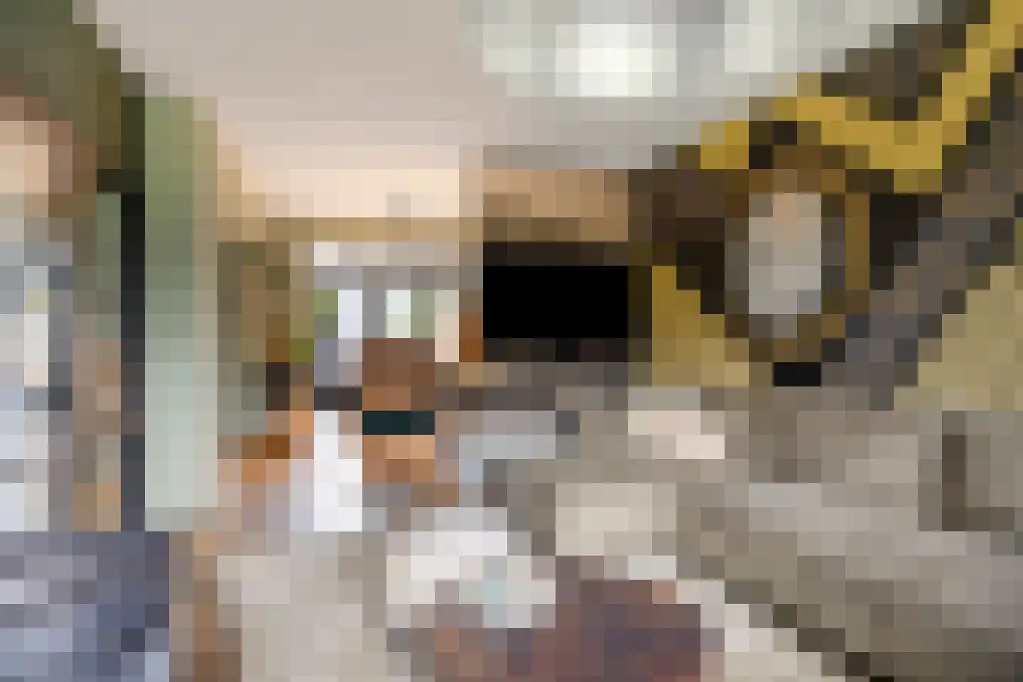 Koaikamp 3 Hurdegaryp thumbnail 6