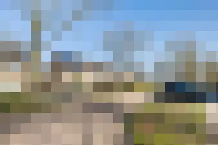 Koaikamp 6 Hurdegaryp thumbnail 36