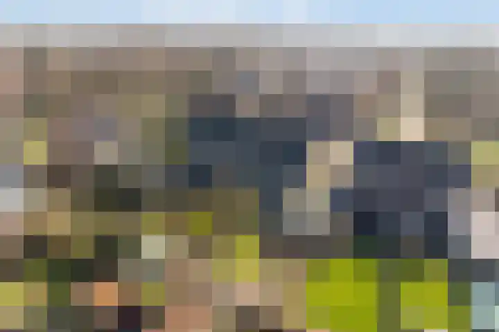 Koaikamp 6 Hurdegaryp thumbnail 37