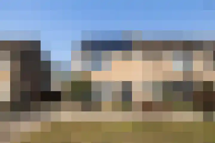 Koaikamp 6 Hurdegaryp thumbnail 38