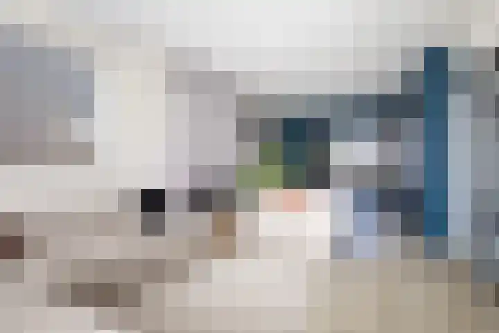 Koaikamp 6 Hurdegaryp thumbnail 6