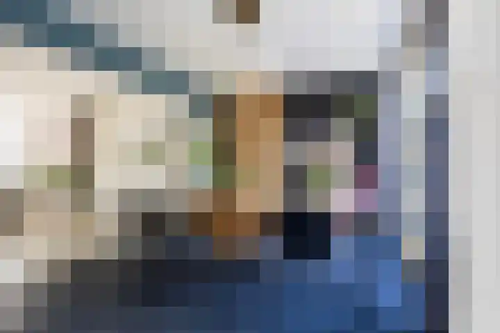 Koaikamp 6 Hurdegaryp thumbnail 8