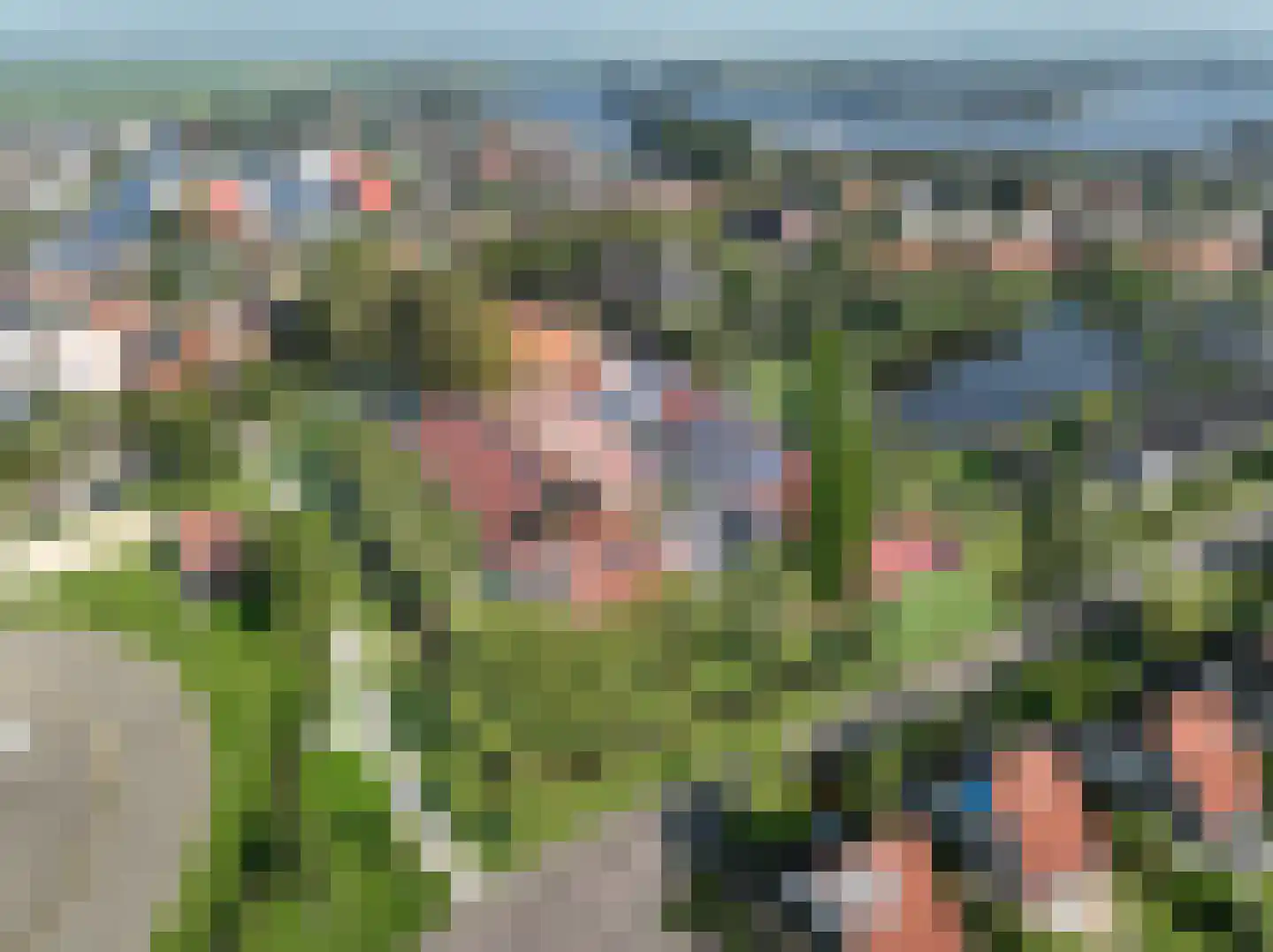 Koailân 4 Terherne foto 2