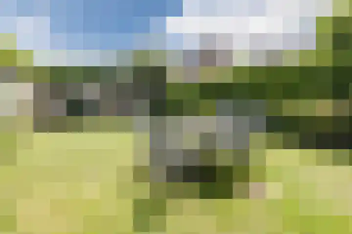 Koailân 5 Terherne thumbnail 13
